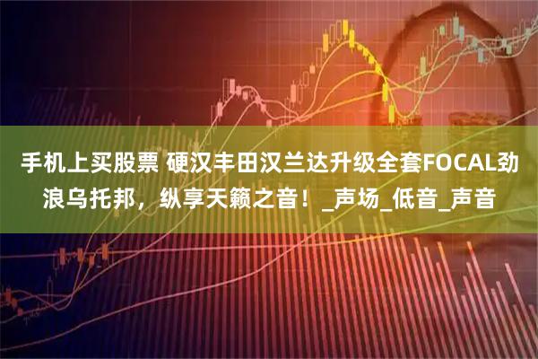 手机上买股票 硬汉丰田汉兰达升级全套FOCAL劲浪乌托邦，纵享天籁之音！_声场_低音_声音