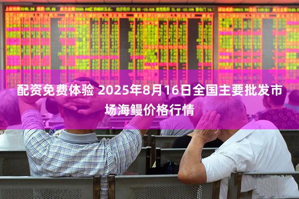 配资免费体验 2025年8月16日全国主要批发市场海鳗价格行情